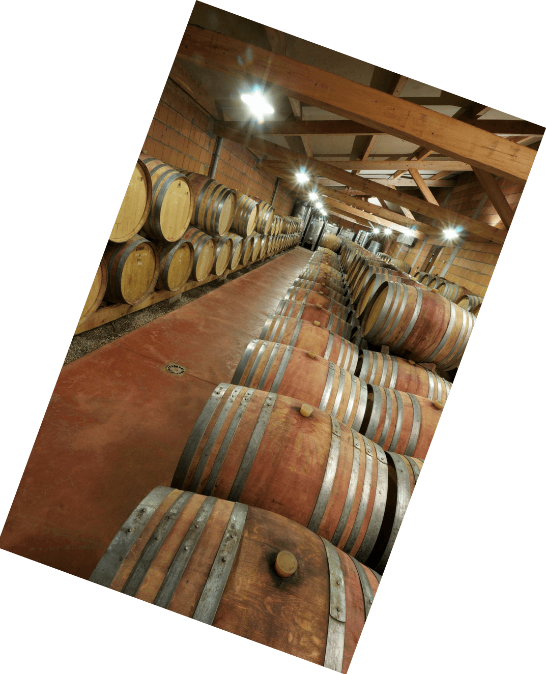 Vinification